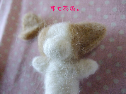 100220-6.jpeg