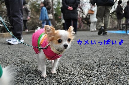 100311-3.jpeg