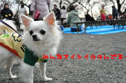 100311-4.jpeg