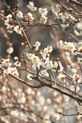 100311-9.jpeg