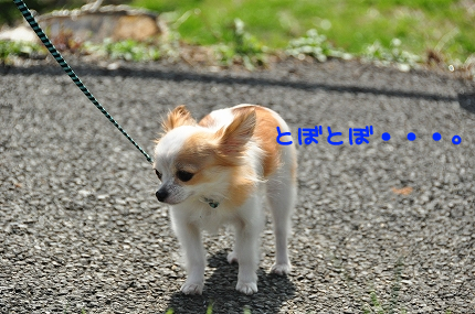 100314-1.jpeg