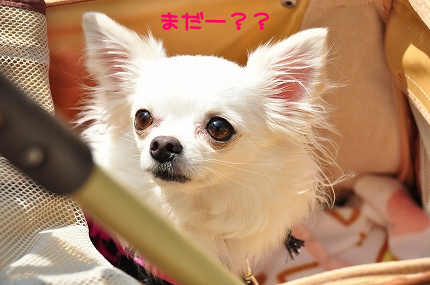 100314-3.jpeg