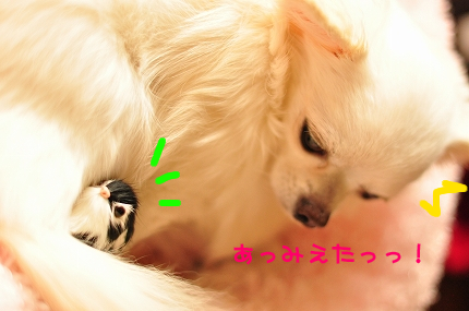 100403-2.jpeg