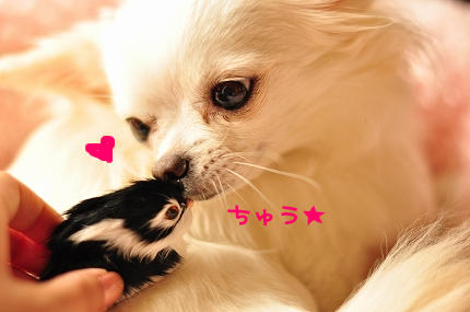 100403-3.jpeg