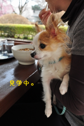 100420-12.jpeg