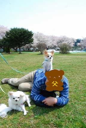 100420-3.jpeg