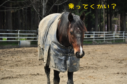 100420-6.jpeg