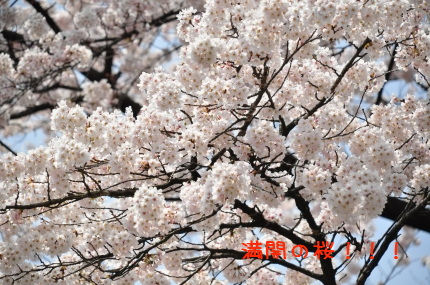100420-7.jpeg