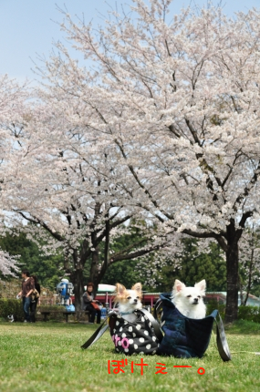 100420-9.jpeg