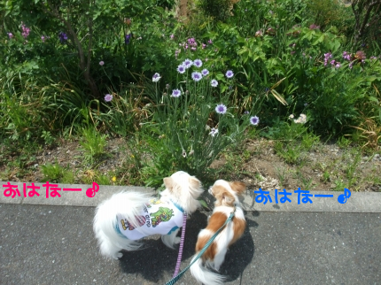 100530-4.jpeg