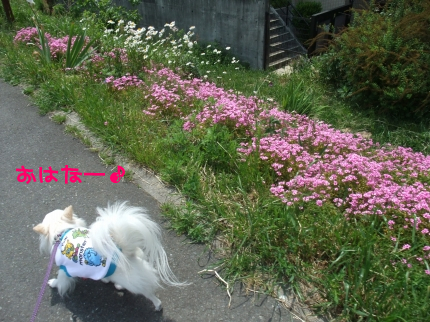 100530-5.jpeg