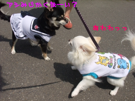 100530-6.jpeg