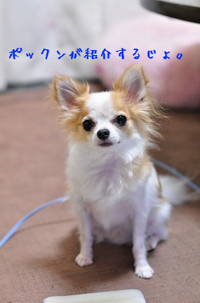 100913-2.jpeg