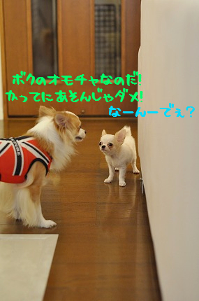 100915-3.jpeg