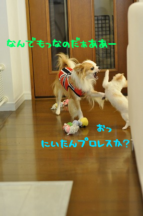100915-5.jpeg