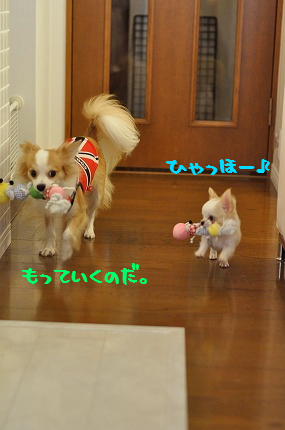 100915-6.jpeg