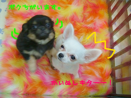 101003-1.jpeg