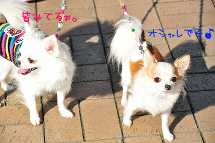 101105-3.jpeg