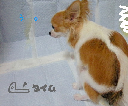 81008-1.jpg