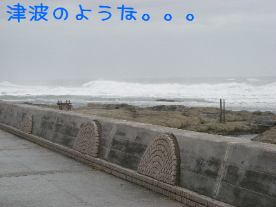 90317-10.jpg