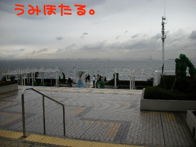 90317-13.jpg