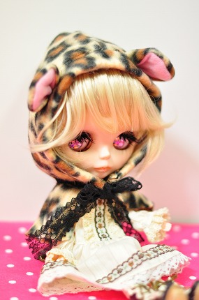 d5000 070.jpg