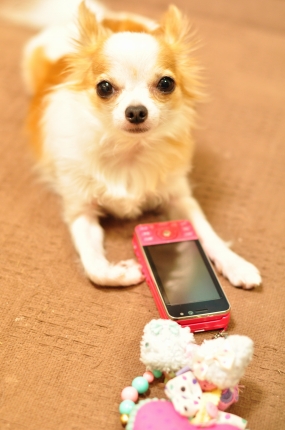 d5000 176.jpg
